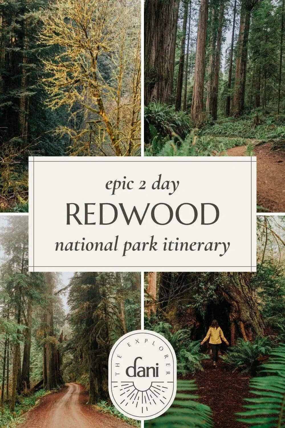 2 Day Redwood National Park Itinerary