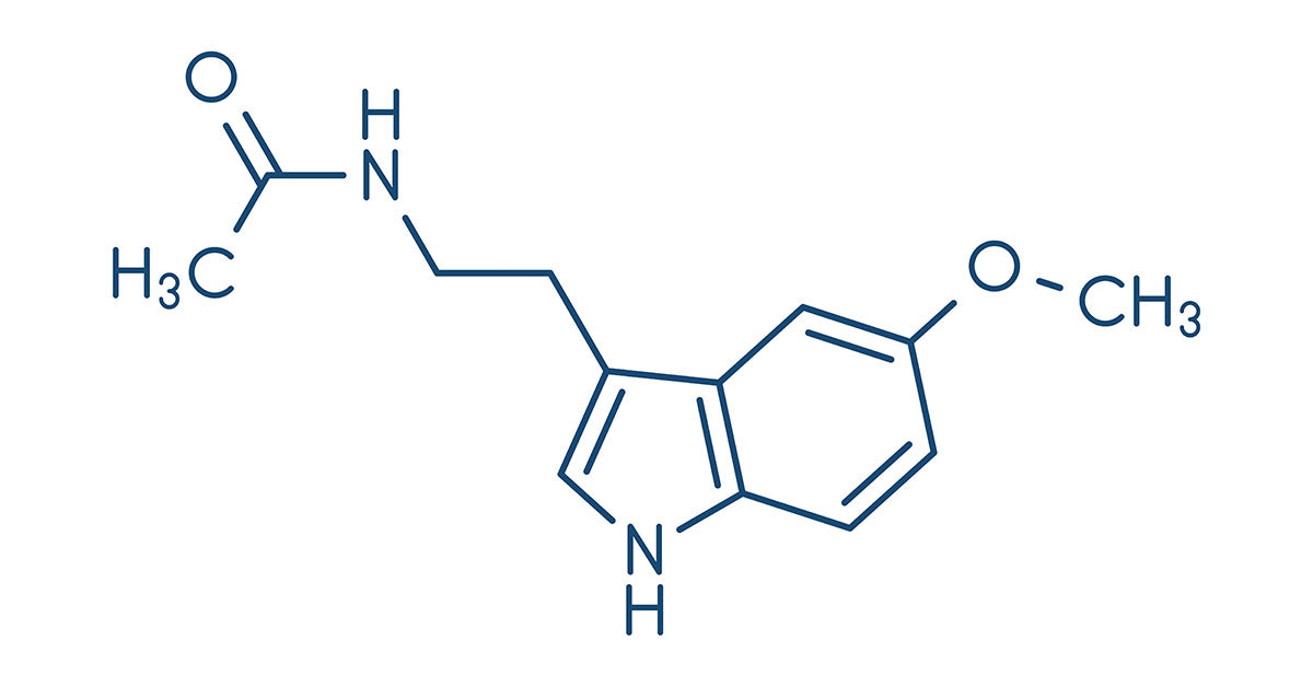 Wie die Sonne für besseren Schlaf sorgt Melatonin