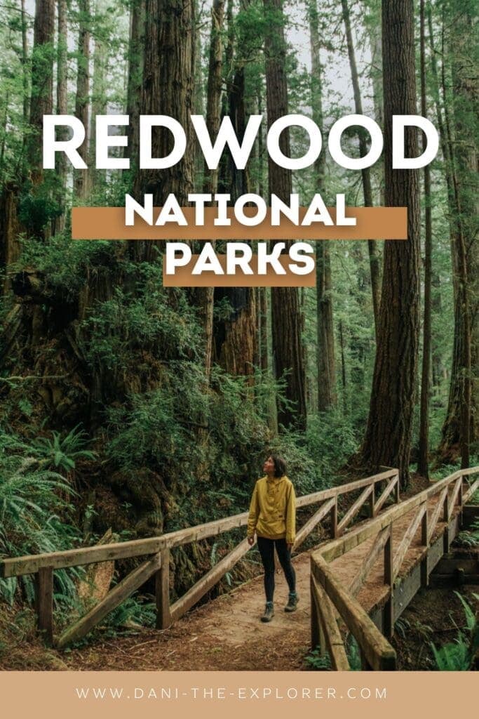 redwood national park guide