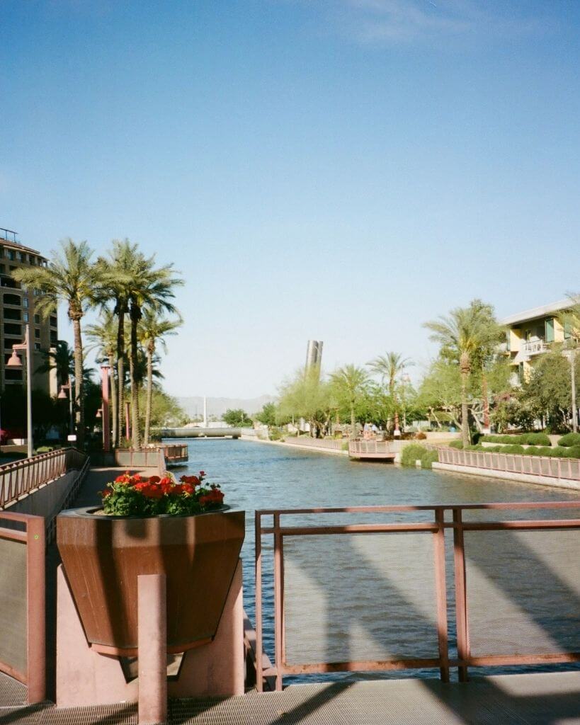 view of the canal and palm trees along the scottsdale waterfront