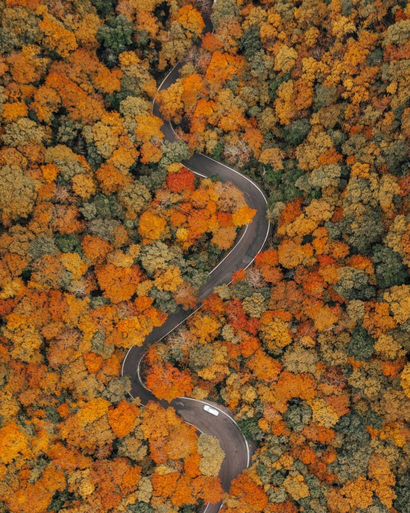 fall foliage covering the winding road in smugglers notcher vermont in the fall
