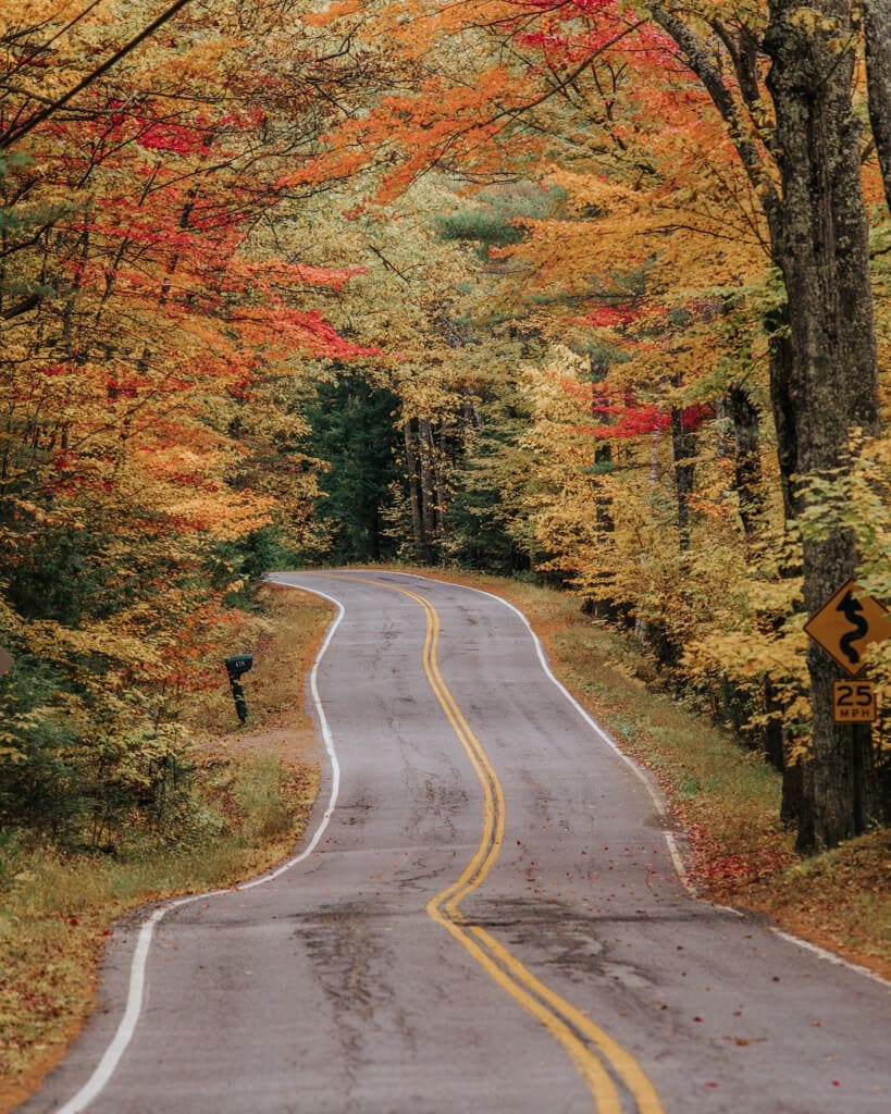 fall foliage surrounding a road in woodstock vermont